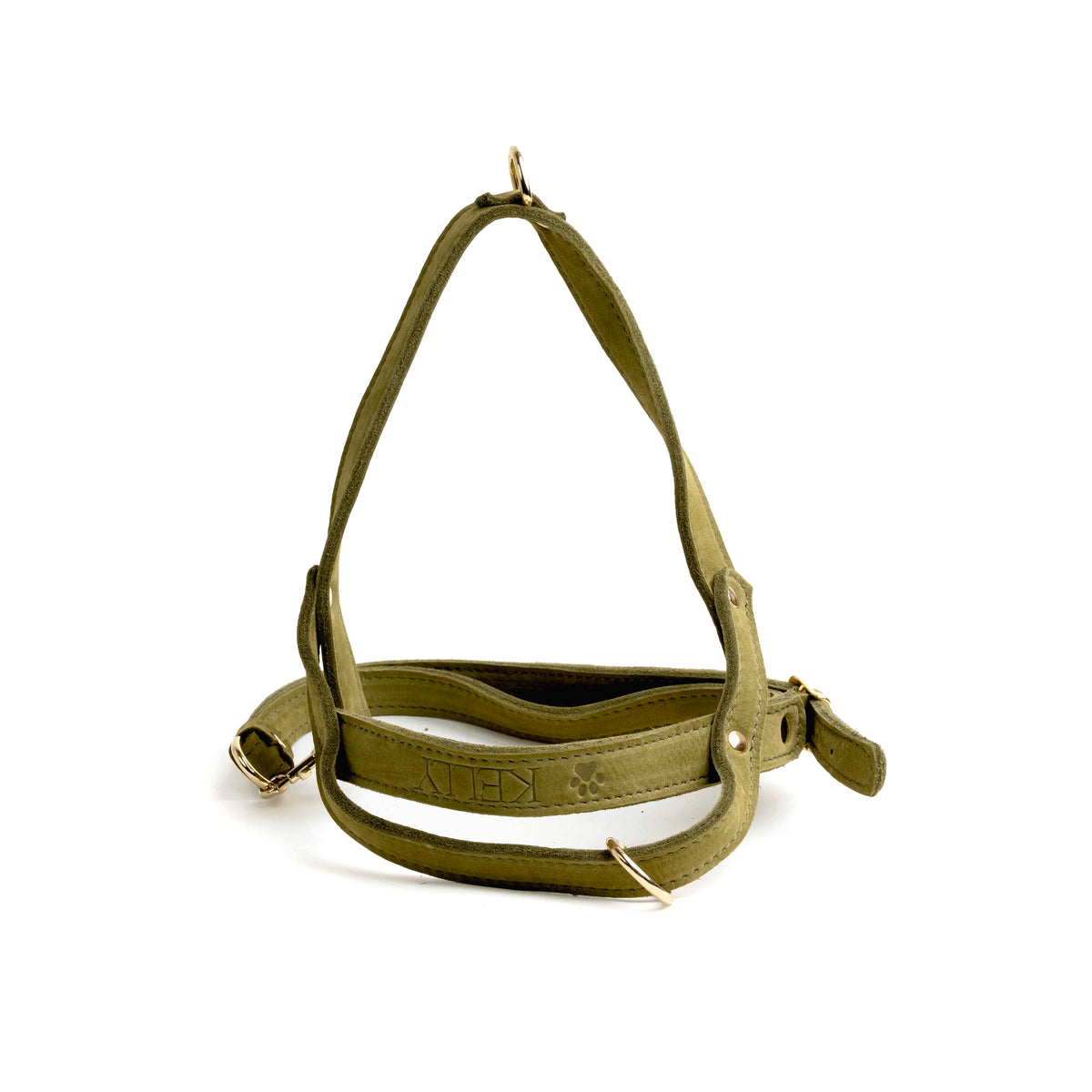 Pettorina Large